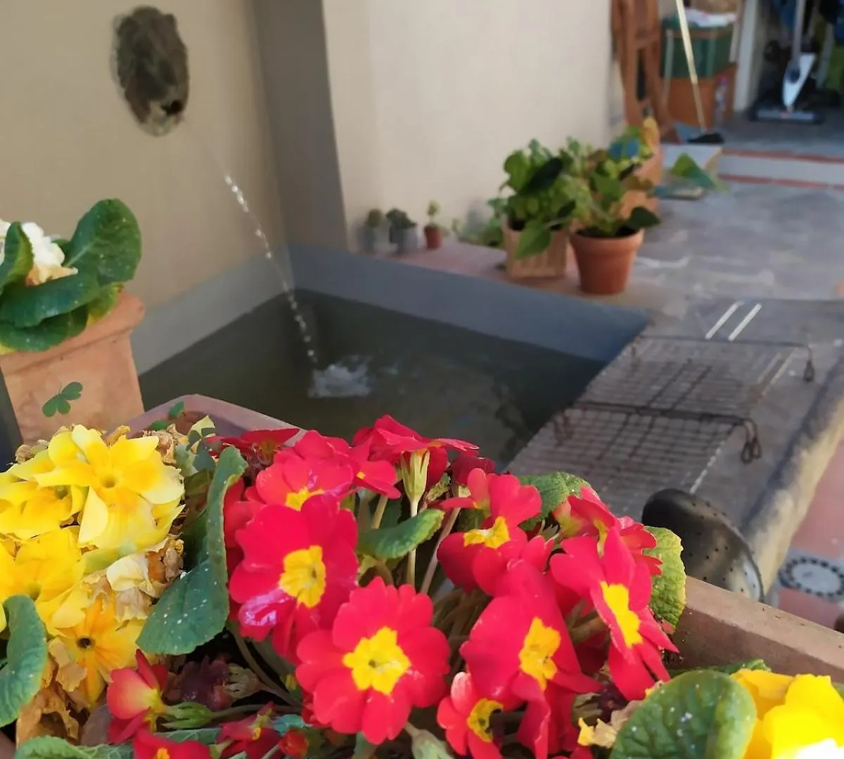 Wonderful Rustic Cottage With Garden-Only Adults Pistoia